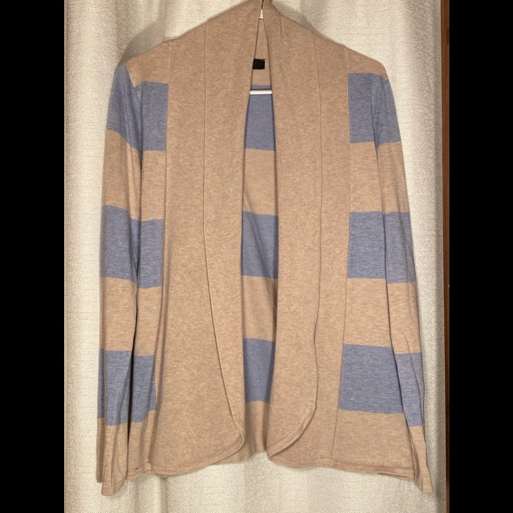 Blue and Beige striped sweater.